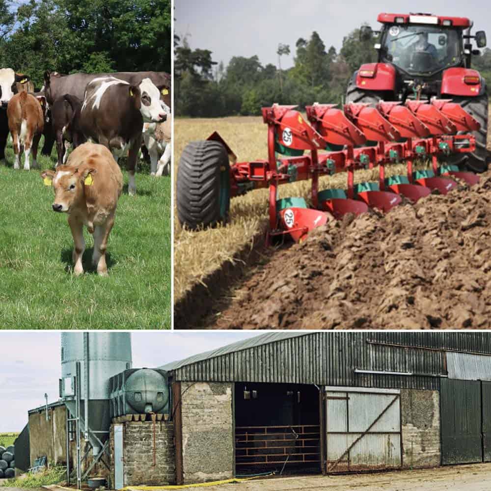 Managing Dangers – Livestock, Machinery & Buildings (Essential Safety for All)